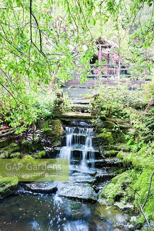 Small waterfall from the large pond runs between guardian lions. The Japanese Garden and Bonsai Nursery, St.Mawgan, nr Newquay, Cornwall