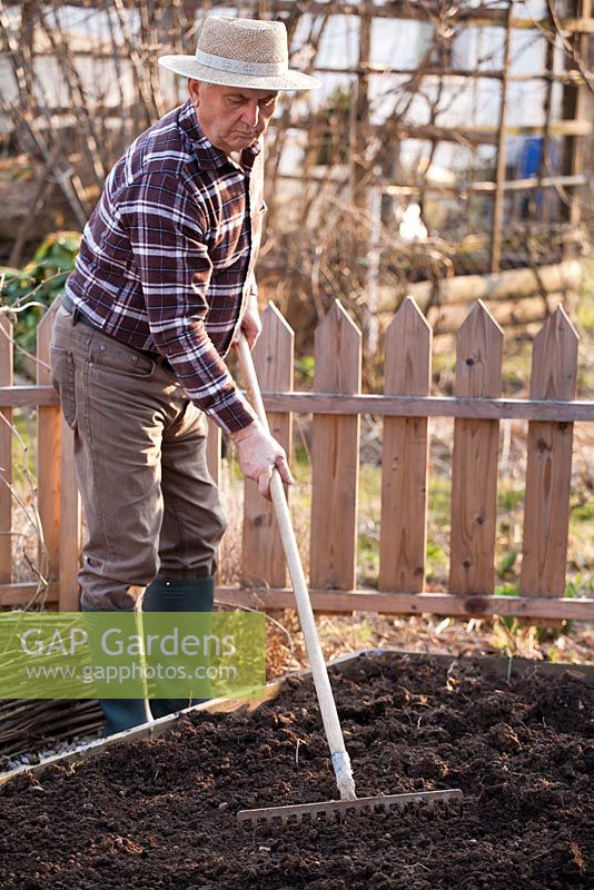 Early spring preparation of vegetable beds. Raking.