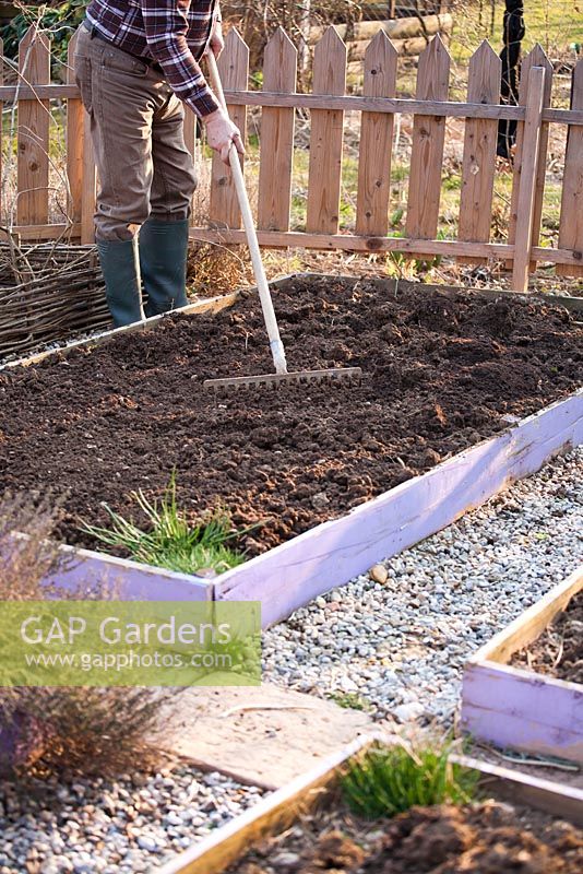 Early spring preparation of vegetable beds. Raking.