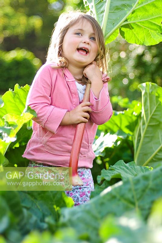 Little Girl in a rhubarb field holding a piece of rhubarb. Spring.