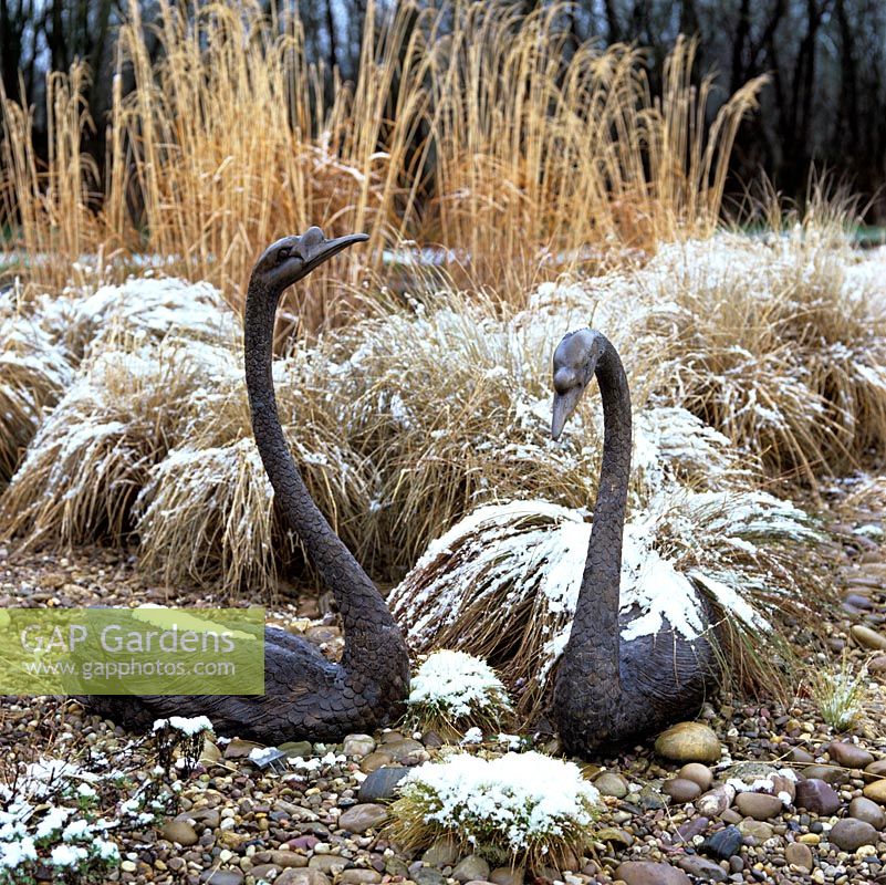 Two swan statues rest amongst ornamental grasses, all sprinkled with snow.