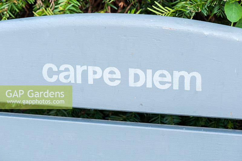 Grey painted wooden bench with Carpe Diem, Sieze the Day, stencilled onto the back rest. 