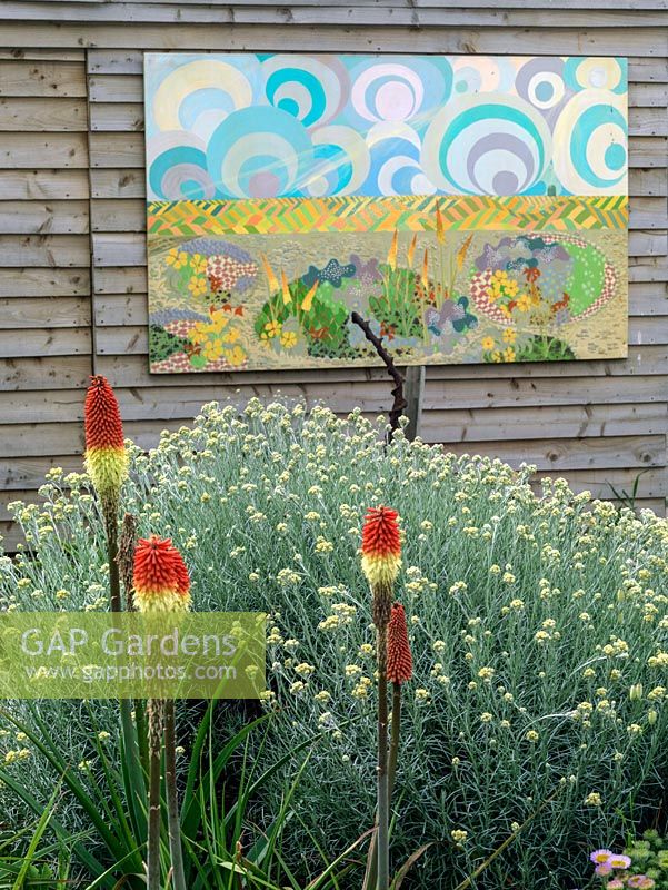 A picture, created by Liz Shackleton, hangs in the garden behind a bed of Kniphofia 'Atlanta' and Helichrysum Italicum