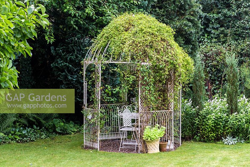 A metal gazebo covered with clematis provides a shady seating area.