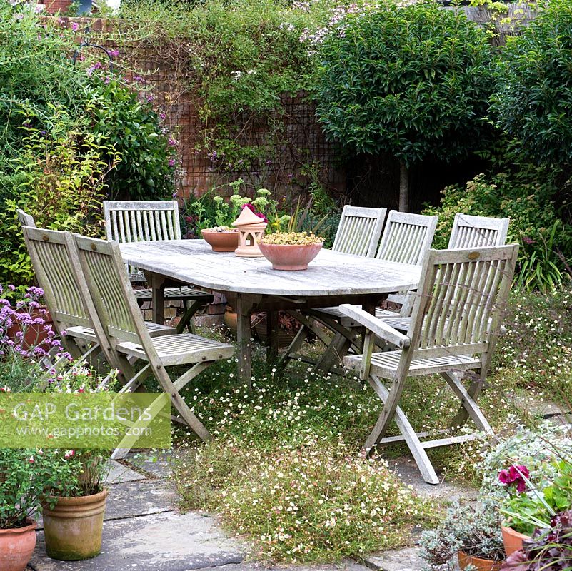 An enclosed patio seating area with wooden garden furniture surrounded by containers and Erigeron karvinskianus.