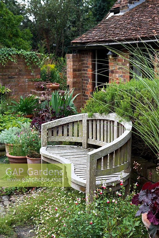 A wooden bench surrounded with Erigeron karvinskianus and Salvia 'Hot Lips'.