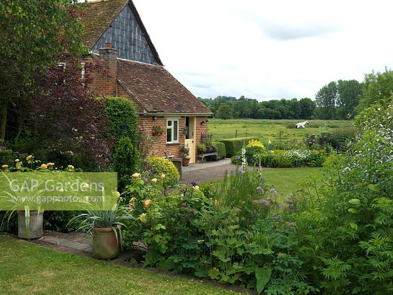 A traditional cottage garden with a view of the Test Valley beyond. Mixed borders include Rosa 'Grace', verbascum, Thalictrum aquilegifolium and pots of Astelia chathamica.