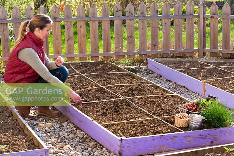 Vegetable bed marked out with sticks.