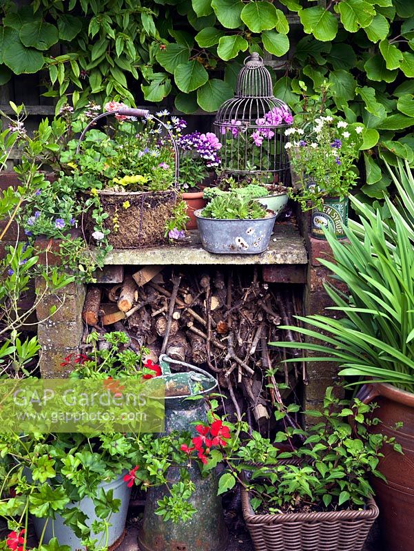 A collection of small savaged containers including tin cans, a colander, metal bucket, baskets and bird cage planted with Pelargonium, Lobelia and succulents. Beneath a pile of branches provide a home for wildlife.