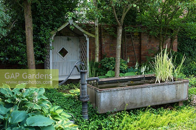 A shady corner of a walled garden with covered wooden seat, a small pond made from a galvanised metal animal feeding trough and shade tolerant planting including hosta and box.