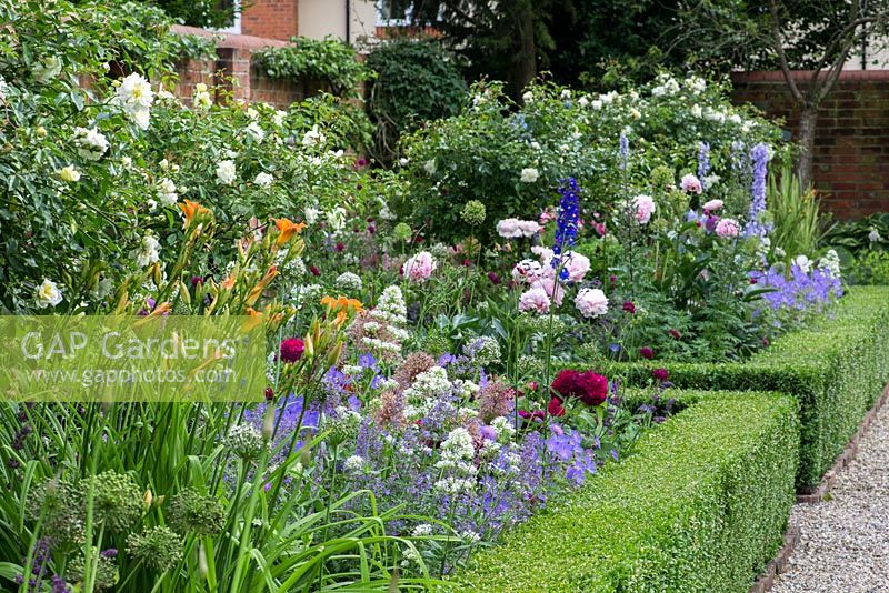 Neatly trimmed box edged bed filled with day lilies, roses, delphinium, allium, peonies, scabious, valerian, hardy geranium and salvias.