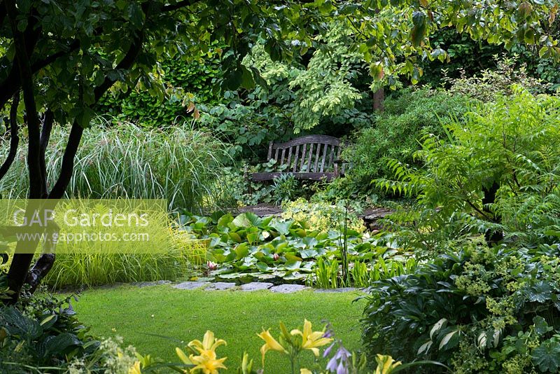 A wooden bench by a small pond filled with waterlilies.