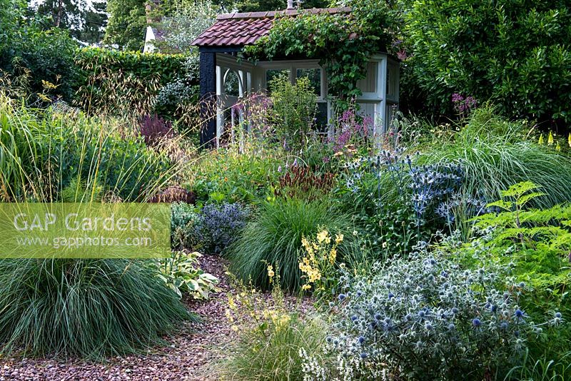 A summer house in a grass and perennial gravel garden. Planting includes Stipa gigantea, Eryngium Tetra Blau, Verbascum Aztec Gold and Selinium wallichianum.