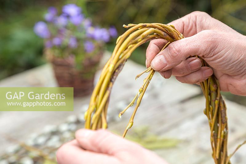 Weaving Willow branches together to form a wreath