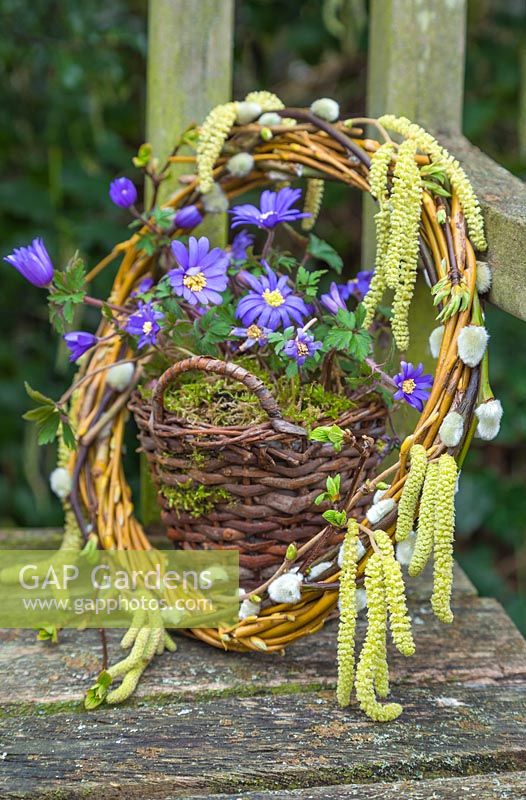 Wicker baskets with Anemone blanda and a decorative Wreath made from Pussy willow, Catkins and Willow