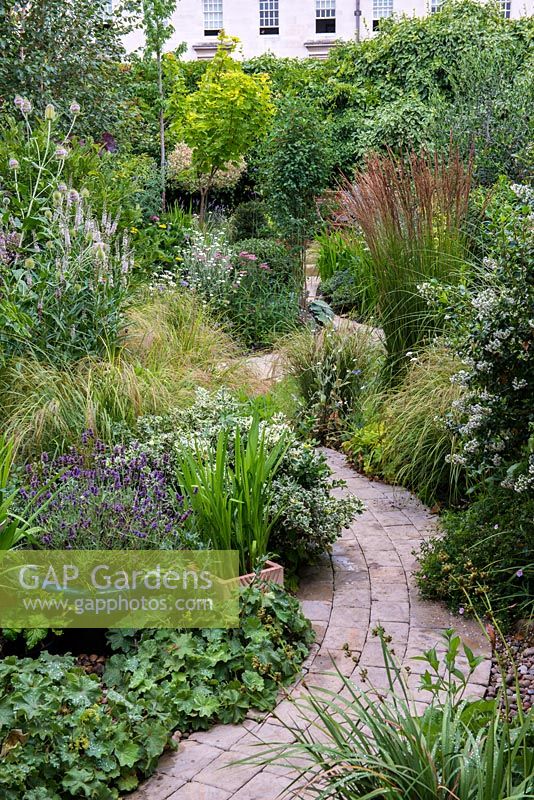 A curving path running through dense borders planted with Lavandula, Alchemilla mollis, variegated Euonymus, Escallonia, Dipsacus, Achillea, Veronicastrum, Stipa and Deschampsia grasses with Acer Aureum providing a focal point at the far end.