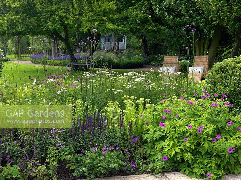 The view across the patio border with Geranium psilostemon and sanguineum, Achillea millefolium, Salvia nemorosa 'Caradonna', Sedum, Allium sphaerocephalon and Verbena bonariensis