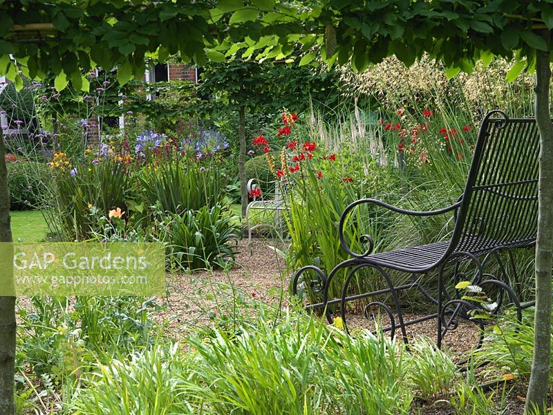 A pleached hornbeam hedge frames a view of a gravel garden with ornate metal bench. Planting includes Verbena bonariensis, Agapanthus, Persicaria and Crocosmia.