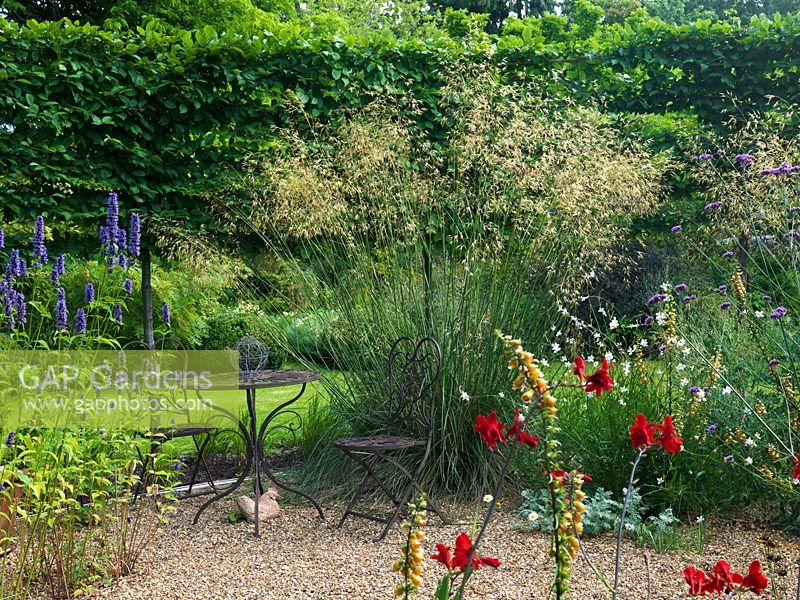 A seating area and gravel garden planted with Crocosmia, Agastache, Gaura lindheimeri, Verbena bonariensis and Stipa gigantea 'Gold Fontaene'. Backed by pleached hornbeam hedge.