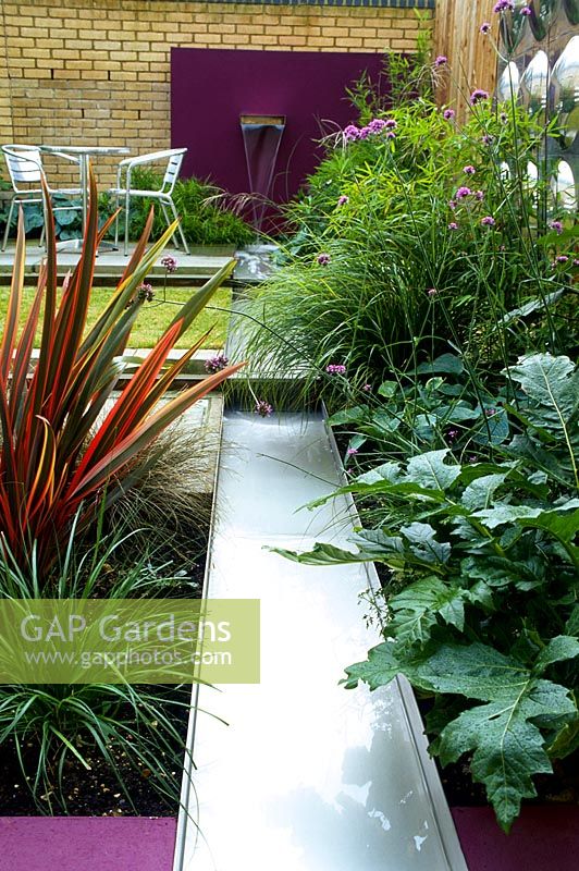 Purple wall with water spout and stainless steel rill surrounded by Phormium - New Zealand flax, Acanthus - Bears breech, Stipa - Spear grass, and Verbena. Designed by Paul Dracott.