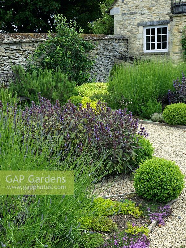 A walled herb garden planted with lavender, sage, oregano, rosemary and creeping thyme, interplanted with box balls and flanked by espaliered fruit trees.