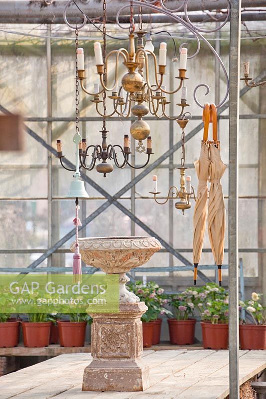 Umbrellas, chandeliers, and bell hanging in the glasshouse. Helleborus showed on shelves.