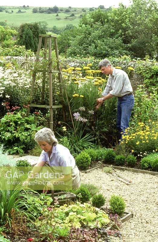 Couple working in garden, woman weeding flower bed and man staking plants, August 