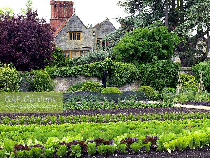 The two-acre, organic, walled kitchen garden at Le Manoir aux Quat'Saisons, conceived by celebrity chef, Raymond Blanc.