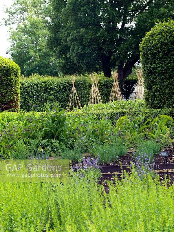 View across the herb garden. The two-acre, organic, walled kitchen garden at Le Manoir aux Quat'Saisons, conceived by celebrity chef, Raymond Blanc. 