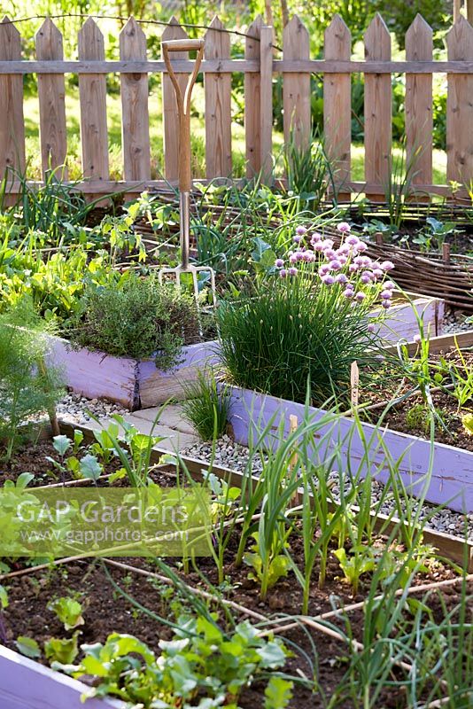 Vegetable garden with raised beds in spring.