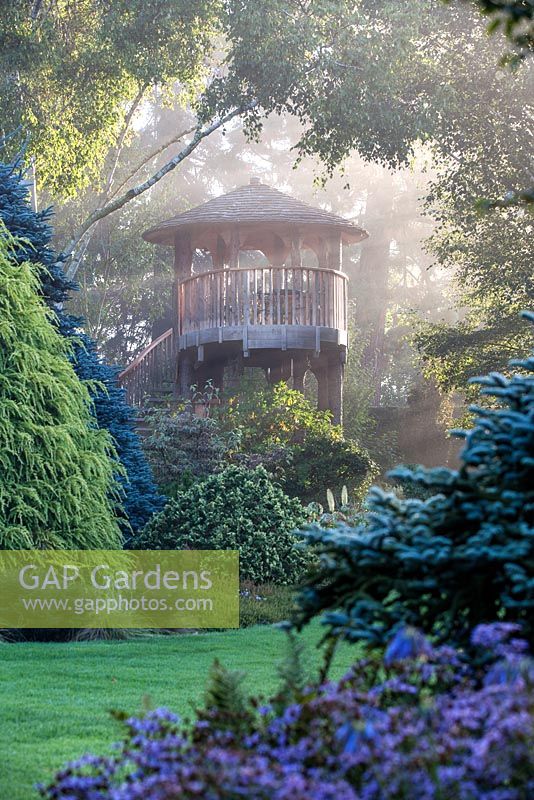 Tree house on a misty morning at Foggy Bottom, The Bressingham Gardens, Norfolk. 