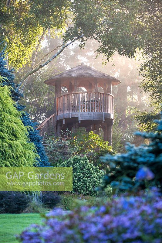 Tree house on a misty morning at Foggy Bottom, The Bressingham Gardens.