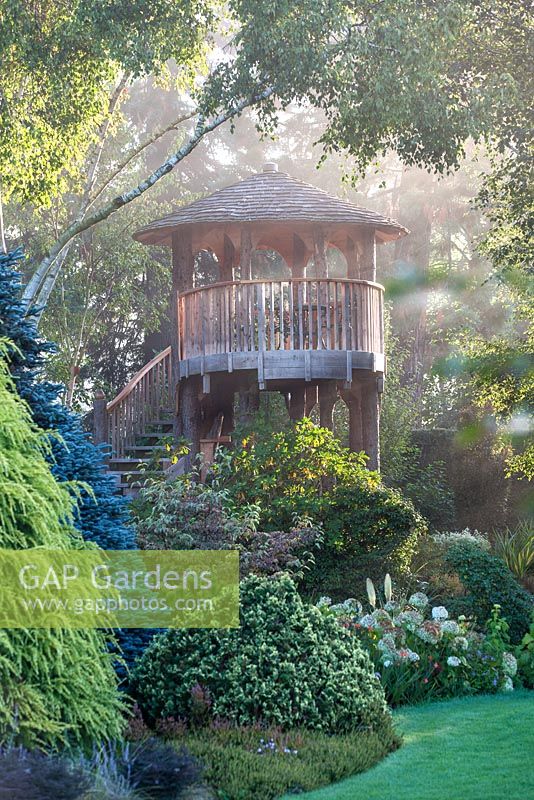 Tree house on a misty morning at Foggy Bottom, The Bressingham Gardens.