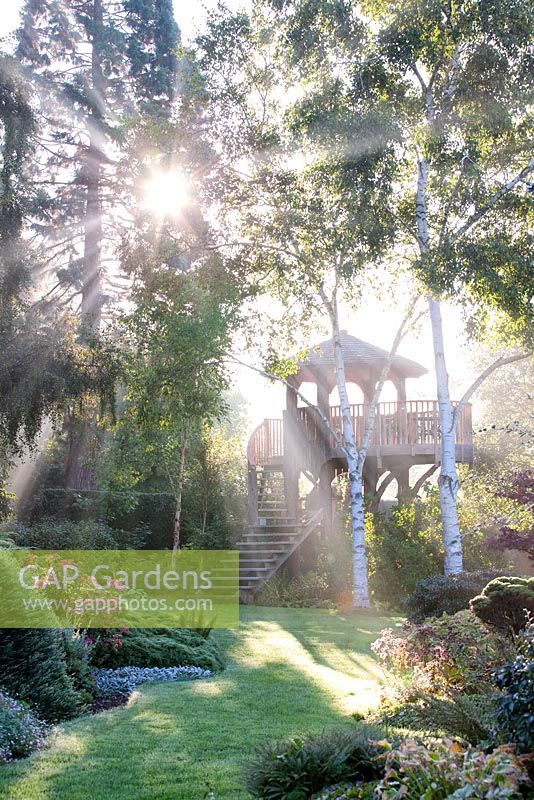 Treehouse on a misty autumn morning at Foggy Bottom, The Bressingham Gardens.