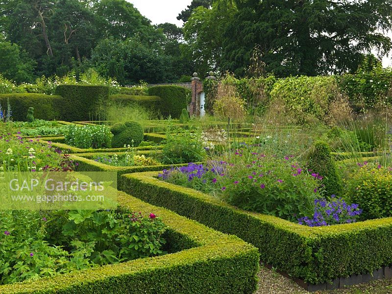 In walled garden, potager of box-edged beds filled with flowers, topiary and vegetables. Near beds - roses, hardy geranium, valerian and Stipa gigantea.