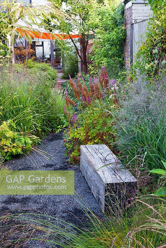 Wooden bench amongst prairie plantings - Astilbe chinensis var. taquetii 'Purpurlanze', Panicum virgatum 'Shenandoah', Sesleria autumnalis'.