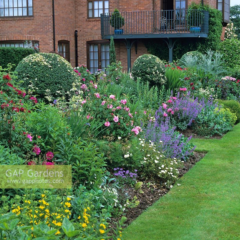 Herbaceous border: Rosa De Rescht, James Mason and Rosa Mundi, Nepeta Six Hills Giant, lysimachia, thalictrum, astrantia and Ligustrum japonicum domes.