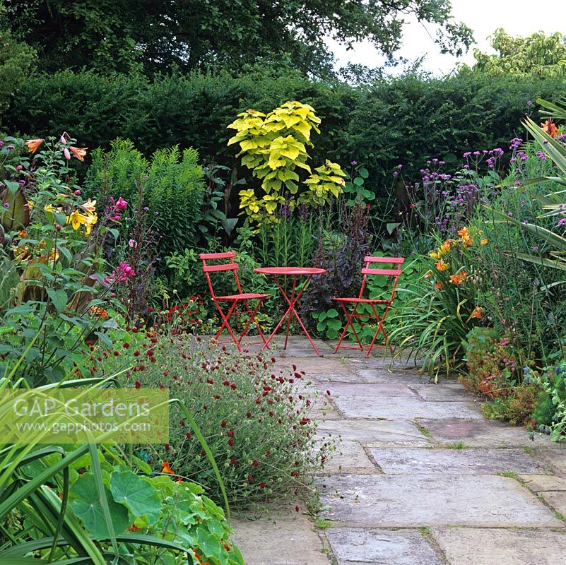 Hot garden of daylily, catalpa, nasturtium, Verbena bonariensis, Salvia involucrata, canna, Lilium African Queen and Knautia macedonica. Red painted table and chairs.