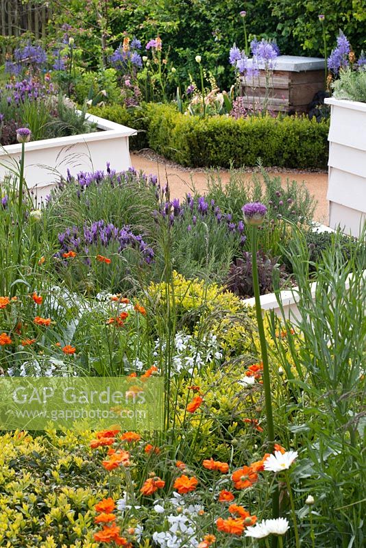 Bee hives, hive shaped raised beds, and plants for pollinators such as camassias, geum, allium and lavender. The Bees Knees garden in support of the Bumblebee Conservation Trust, Malvern Spring Gardening Show 2015. 