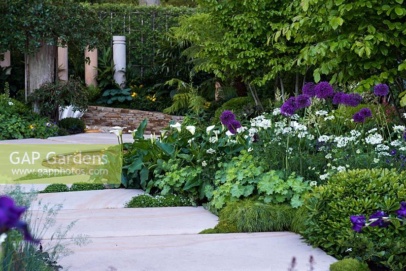 The Time In Between by Husqvarna and Gardena. View of path made from natural sandstone paving slabs separated with Pratia pedunculata and surrounded by Zantedeschia aethiopica, Allium giganteum, Alchemilla mollis, Pogonatherum paniceum, Orlaya grandiflora 