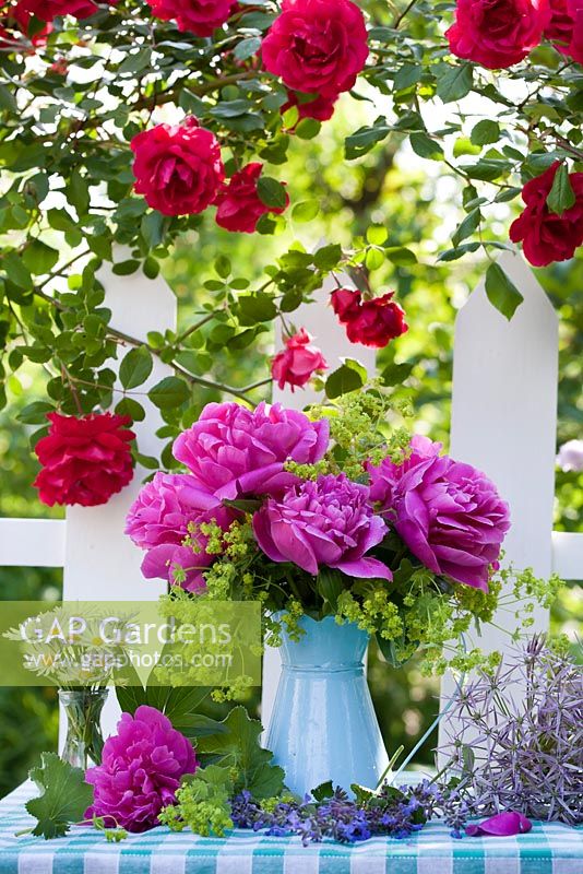 Cut flower arrangement with jug of Peony and Ladys Mantle on garden table in summer.
