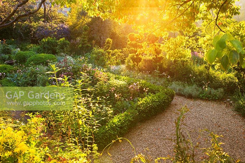 View of box-edged beds in french villa garden at sunrise