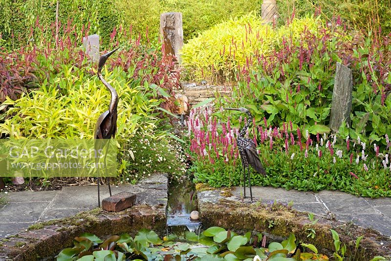Stone edged rill leading to pond with waterlilies and ornamental herons in Carpet Garden, planted with persicaria, sempervivums and unusual varieties of bamboo