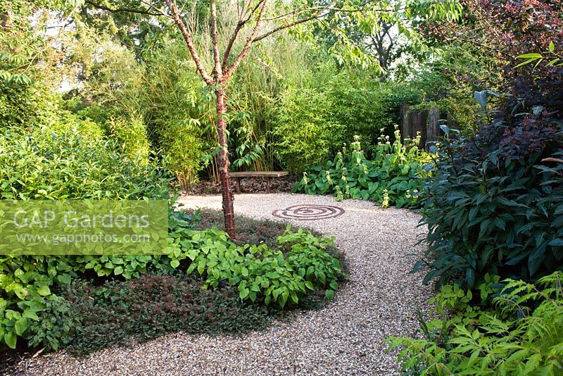 Gravel path curving through Rust Garden with metal bench and decorative metal spiral in the path. Borders planted with Acaena microphylla and Phyllostachys aureosulcata 'Spectabilis'