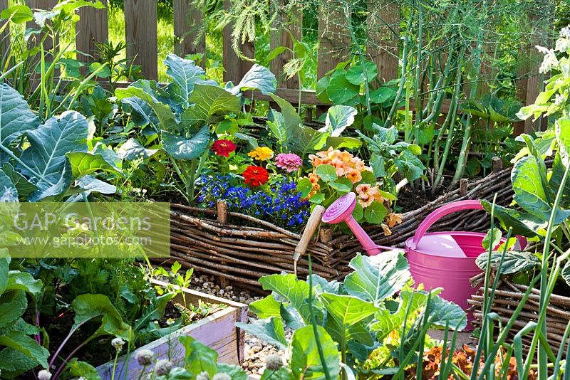 Wicker raised bed with annuals to attract beneficial animals. Zinnia 'Thumbelina', Lobelia erinus, Tropaeolum majus