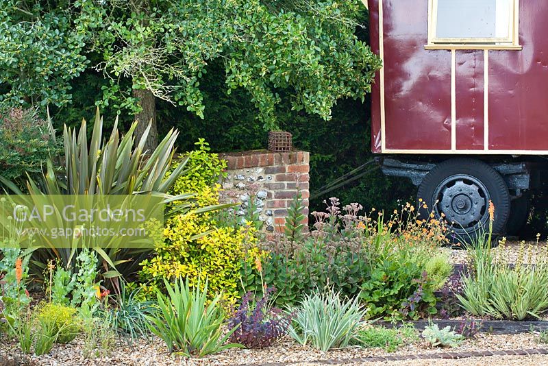Gravel garden planted with Phormium tenax 'Purpureum', Escallonia leavis 'Gold Ellen', Iris pallida 'Argentea Variegata', Sedum 'Matrona', Sedum 'Red Cauli', Geum 'Totally Tangerine', Knifophia 'Elvira'