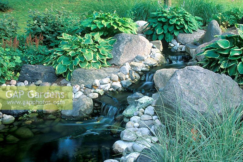 Artificial stream, cascading down shallow waterfalls. Hosta and miscanthus surrounding boulders. Michigan, USA