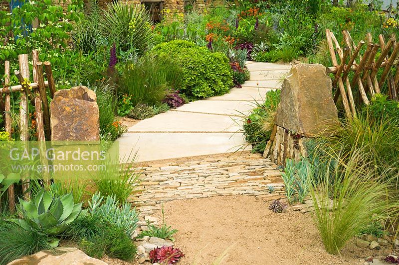 Sentebale - Hope in Vulnerability garden. Path of sandstone paving leading between borders with mixed planting with succulents, grasses and shrubs