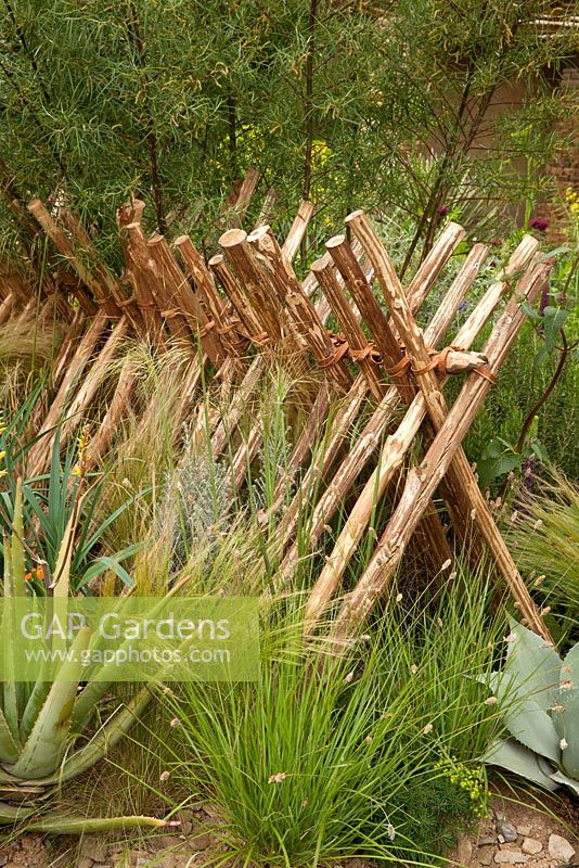 Sentebale - Hope In Vulnerability. Wooden stockade style fence with planting of grasses and succulents.