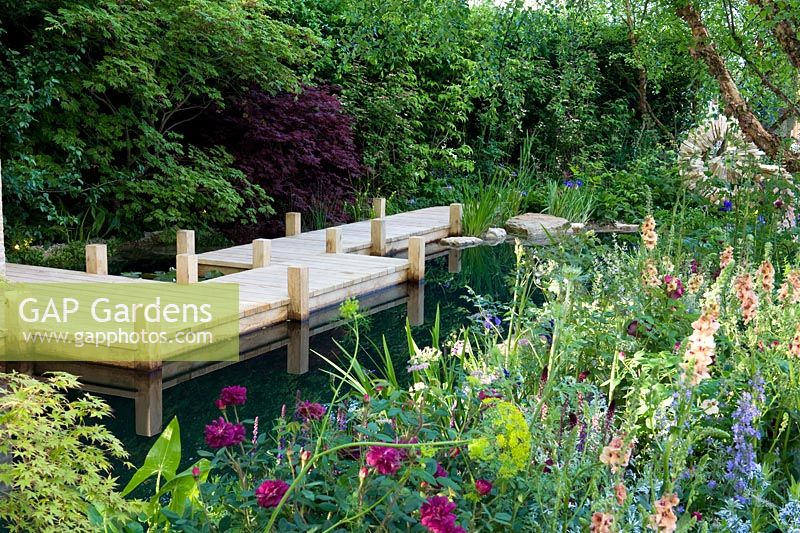 The M and G Garden - The Retreat. Wooden boardwalk set in black-water natural swimming pond backed by hedge and fronted by cottage-style border with Digitalis 'Sutton's Apricot', Rosa 'Chianti', Verbascum 'Cotswold Beauty' and Nepeta. 